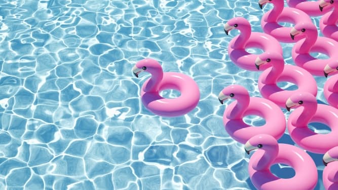 That Pool Heating Company pool maintenance work in Drayton
