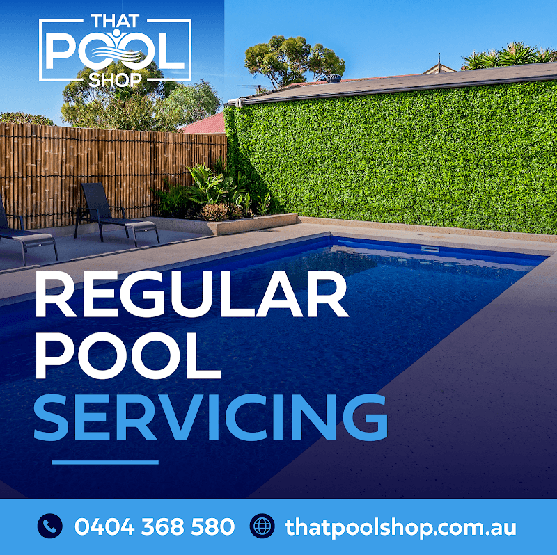 That Pool Shop (Mobile Service) pool maintenance work in Walkerville