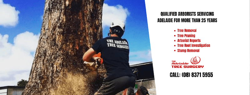 The Adelaide Tree Surgery tree services work in Black Forest