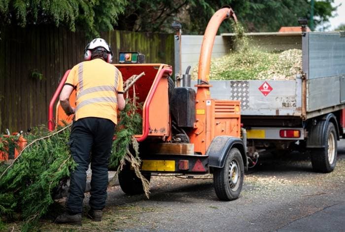 The Arborist Experts tree services work in Forrest