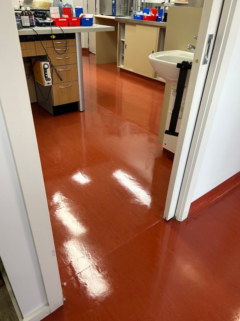 The Best Dream Home Pty Ltd carpet cleaning work in Frankston