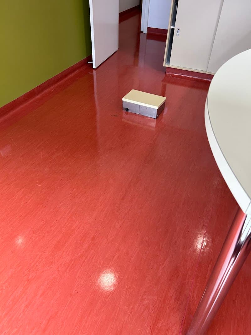 The Best Dream Home Pty Ltd carpet cleaning work in Frankston