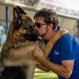 The Canine Classroom | Dog Training Coorparoo dog training work in Coorparoo