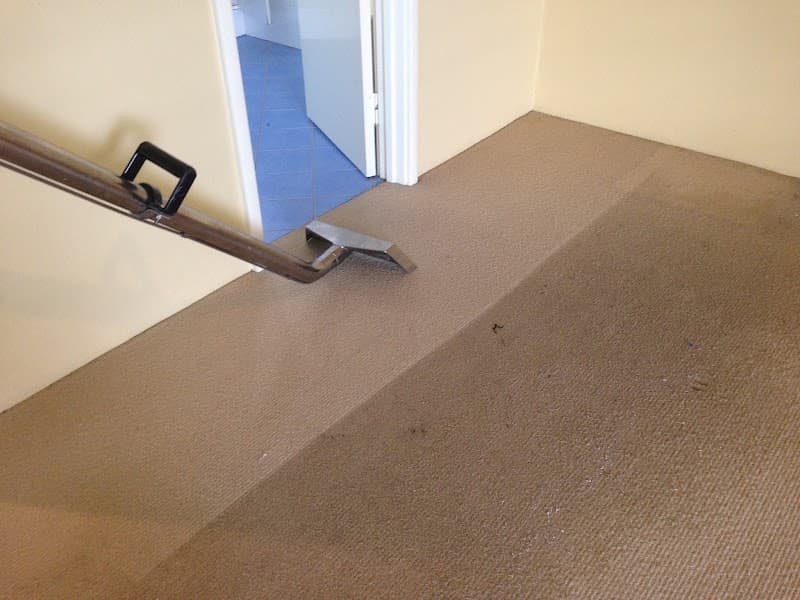 The Carpet Guy carpet cleaning work in East Bunbury