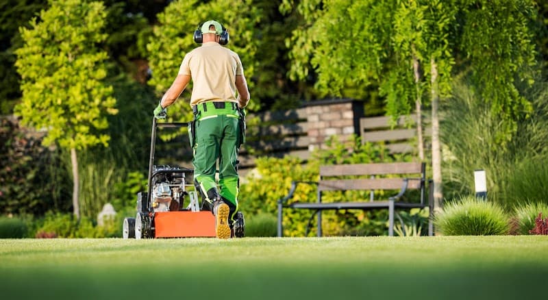 The Central Coast Lawn Mowing Group lawn care work in The Entrance