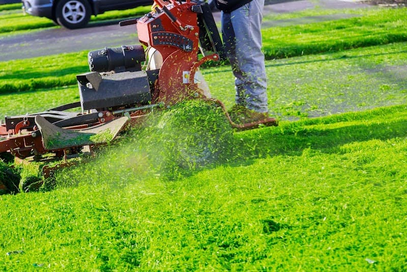The Central Coast Lawn Mowing Group lawn care work in The Entrance