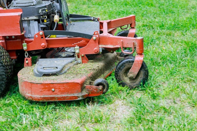 The Central Coast Lawn Mowing Group lawn care work in The Entrance