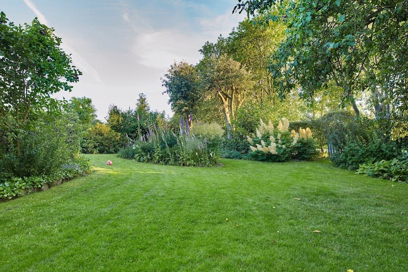 The Central Coast Lawn Mowing Group lawn care work in The Entrance