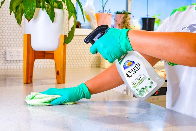 The Cleaning Lady cleaning work in Palm Beach