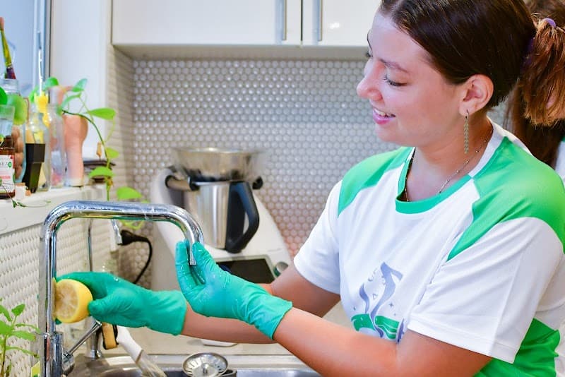 The Cleaning Lady cleaning work in Palm Beach