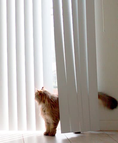 The Curtain and Blind Company curtains & blinds work in Malaga