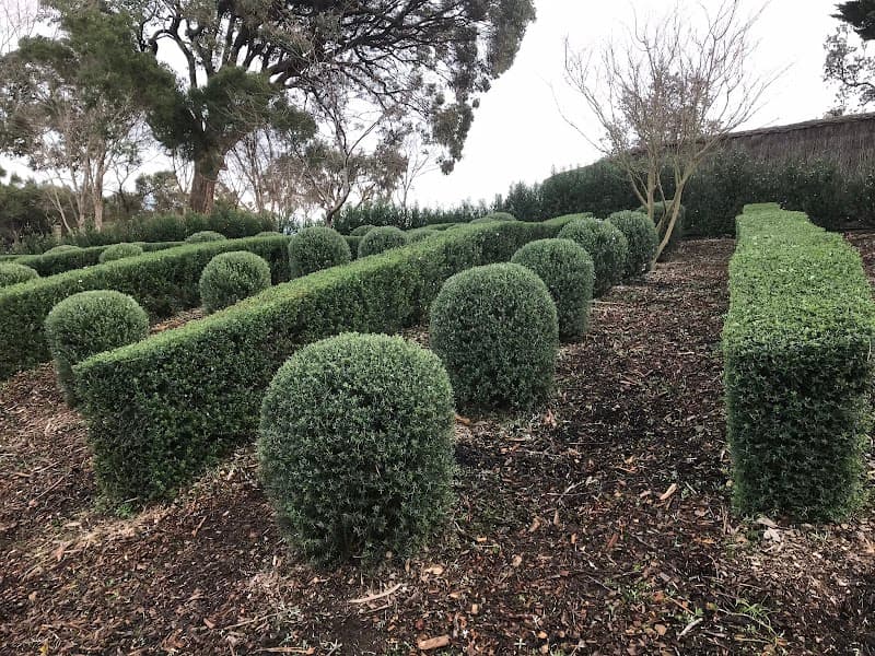 The Cutting Hedge Landscaping and Garden Design gardening work in Mount Martha