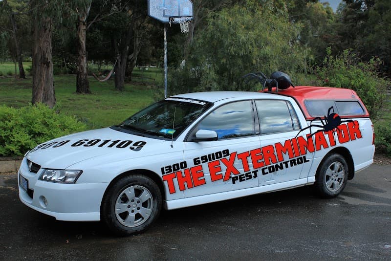 The Exterminator Pest Control pest control work in West Launceston