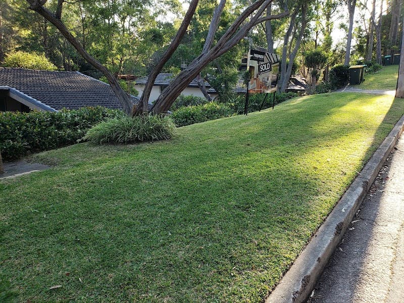 The Finest Clean & Lawn Care lawn care work in Waratah