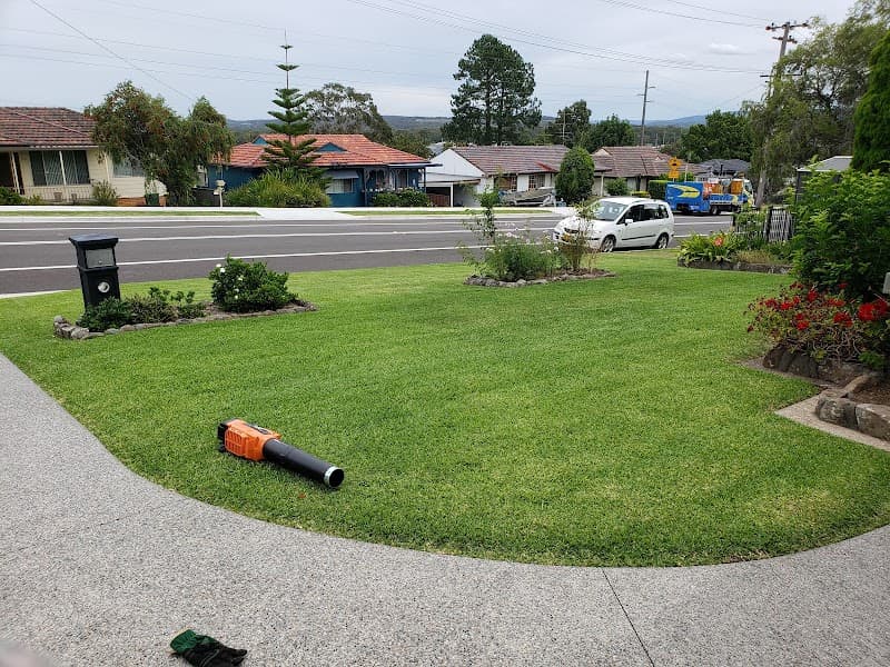 The Finest Clean & Lawn Care lawn care work in Waratah