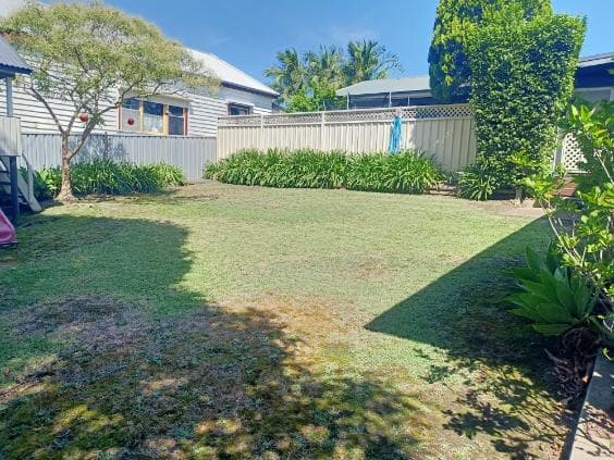 The Finest Clean & Lawn Care lawn care work in Waratah