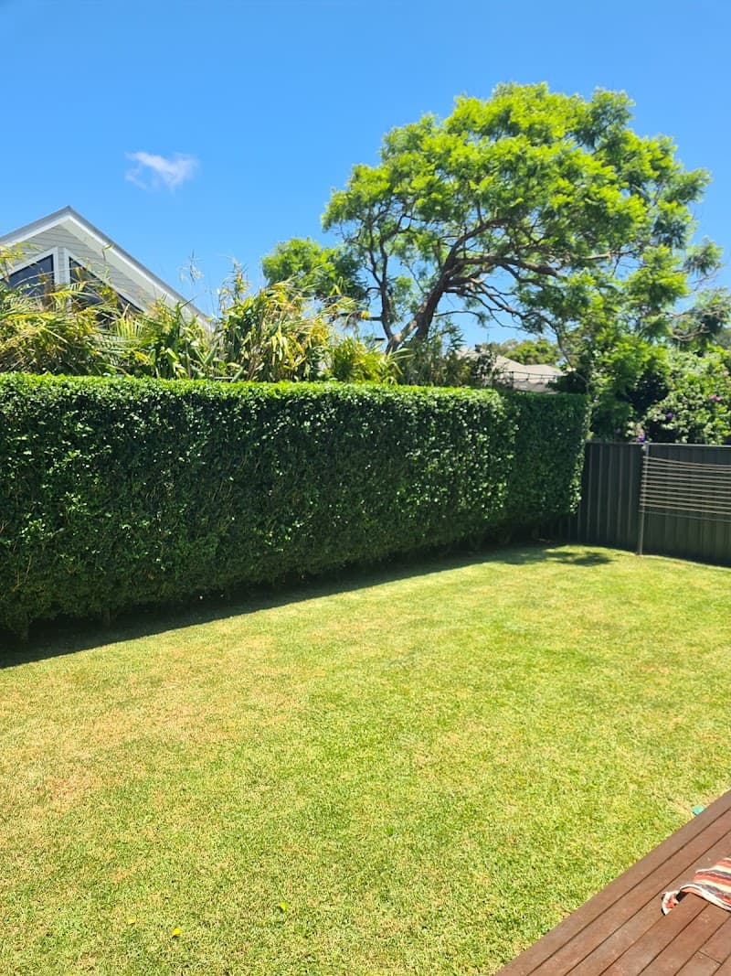 The Finest Clean & Lawn Care lawn care work in Waratah