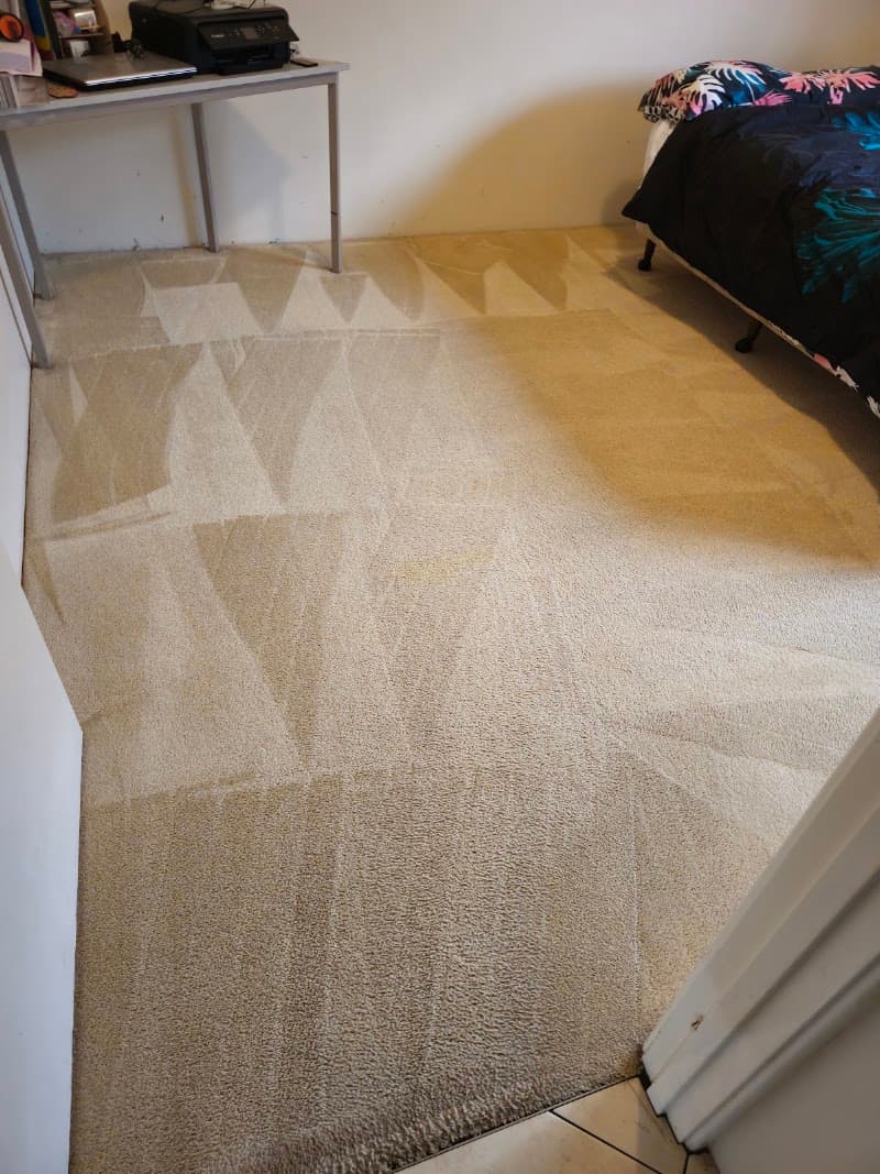 The Flying Carpet and Tile Cleaner carpet cleaning work in Wellard