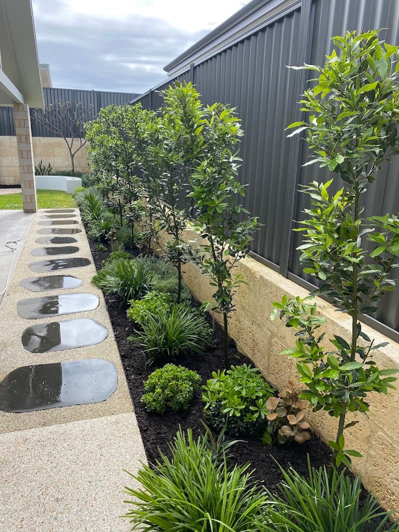 The Garden Collective gardening work in Currambine