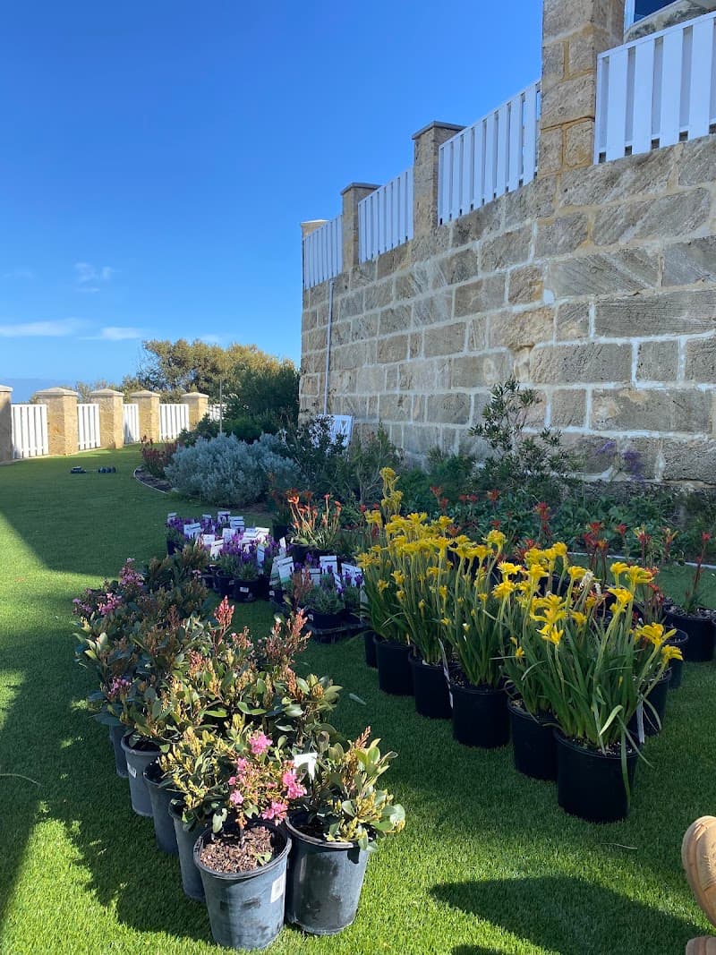 The Garden Collective gardening work in Currambine
