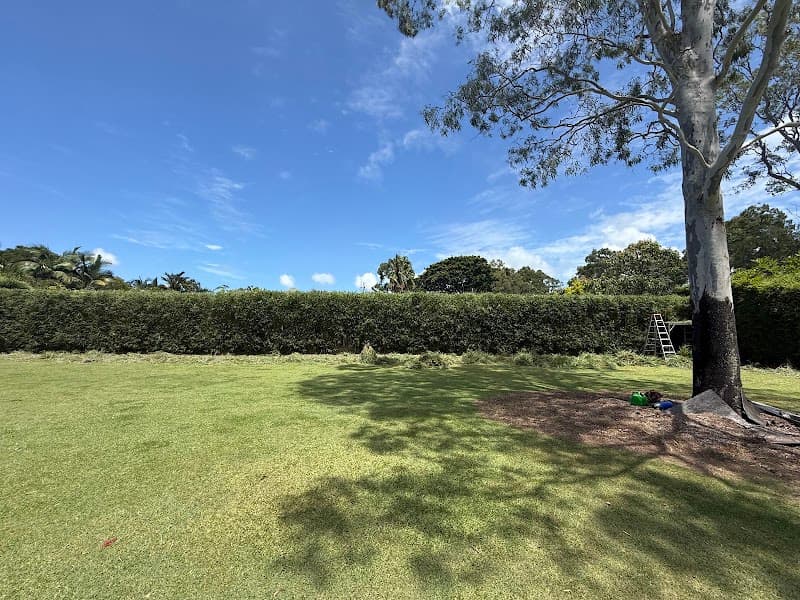 The Gardener & Co. gardening work in Palm Beach