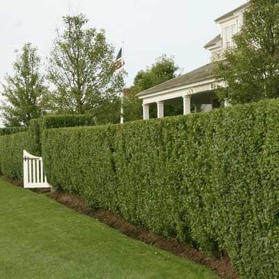 The Gardener & Co. gardening work in Palm Beach