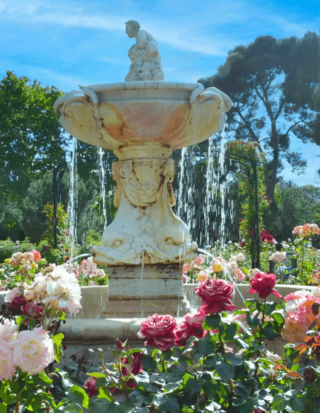 The Gardener & Co. gardening work in Palm Beach