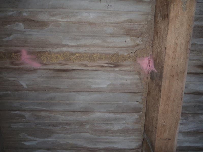 The Good Pest pest control work in Narraweena