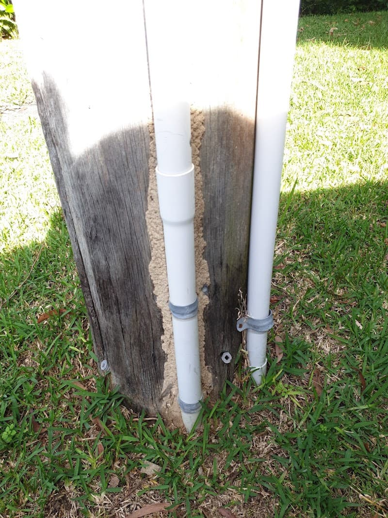 The Good Pest pest control work in Narraweena