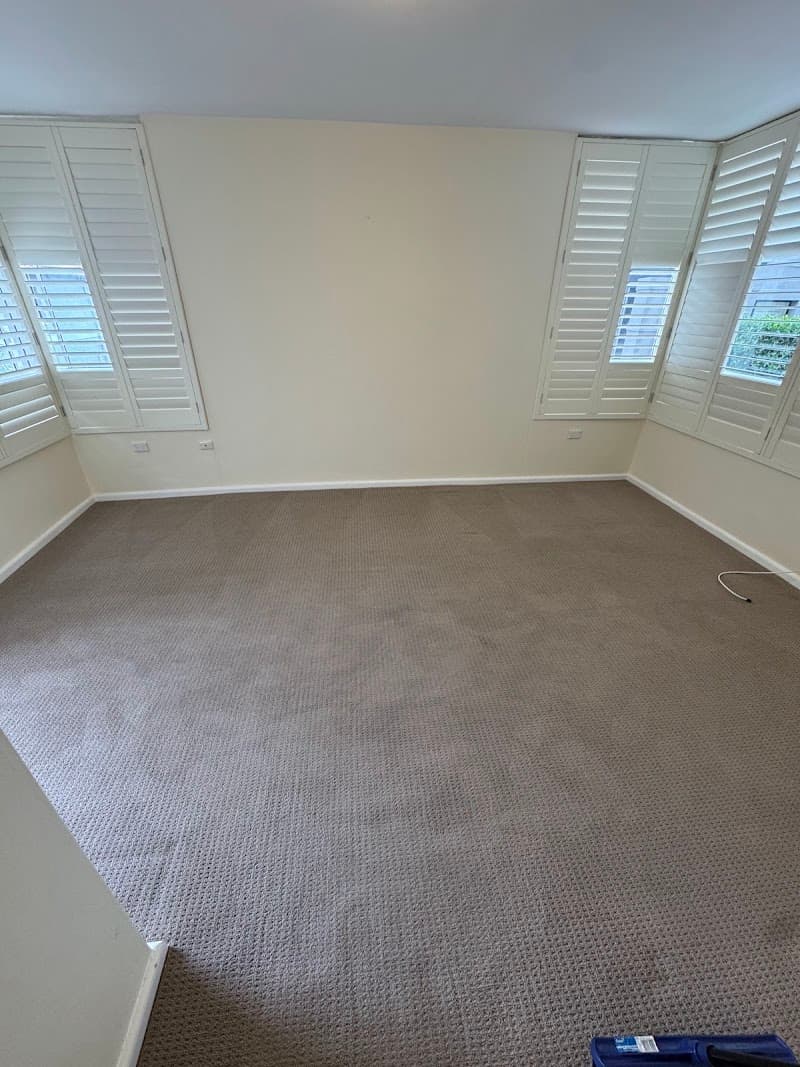 The Great Cleaning Co carpet cleaning work in Dee Why