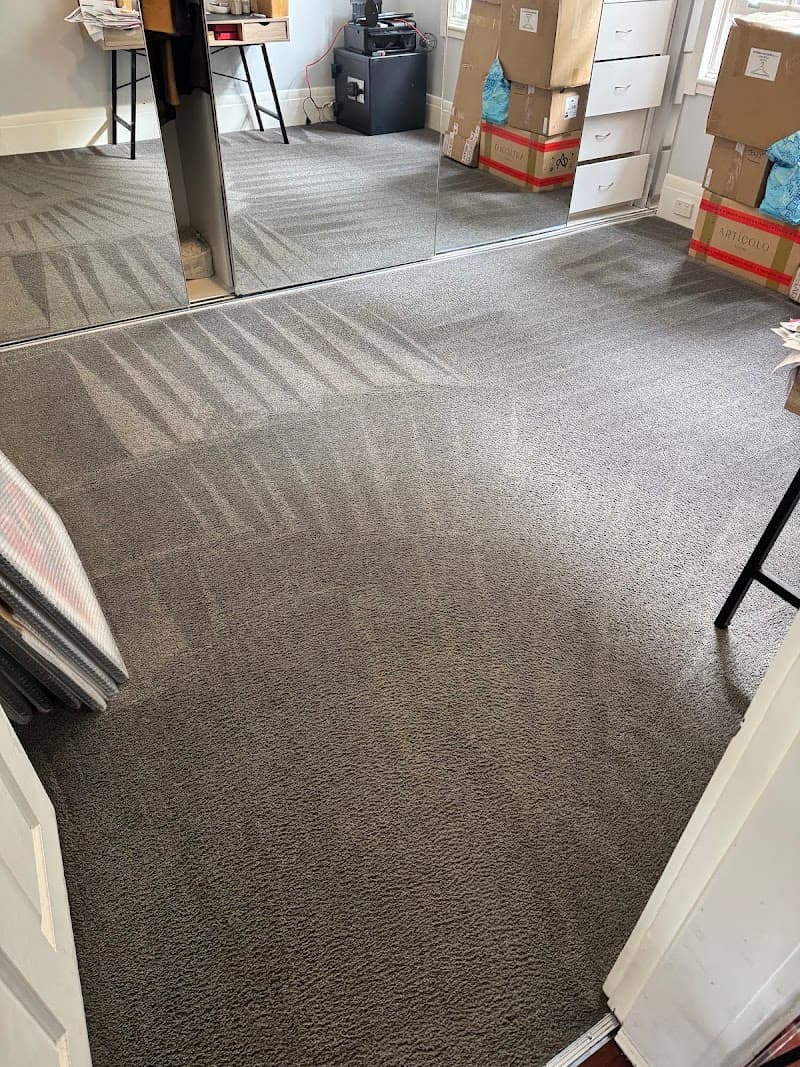 The Great Cleaning Co carpet cleaning work in Dee Why