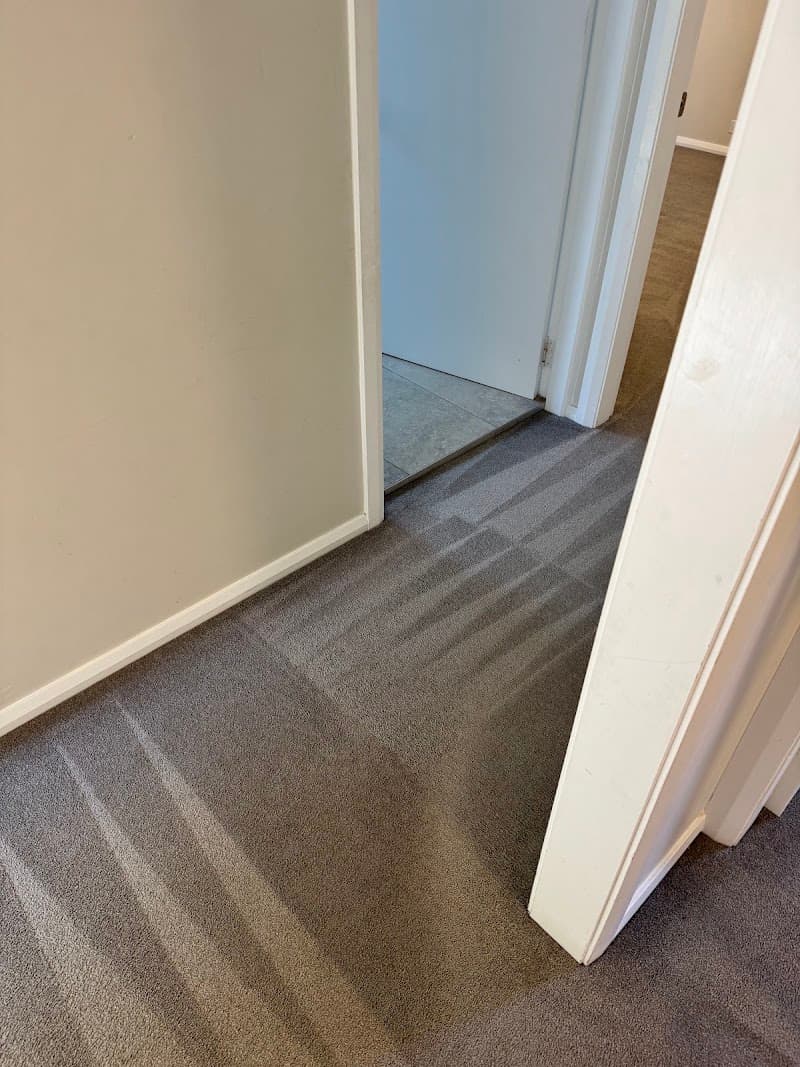 The Great Cleaning Co carpet cleaning work in Dee Why