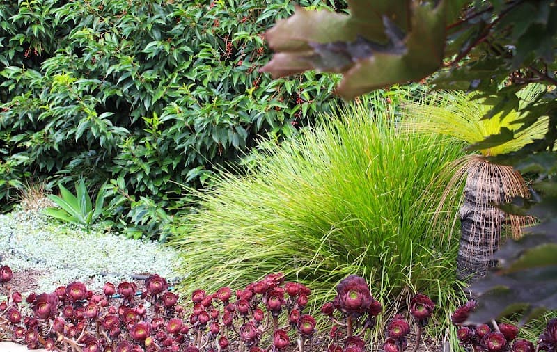 The Greener Garden Company gardening work in Frankston