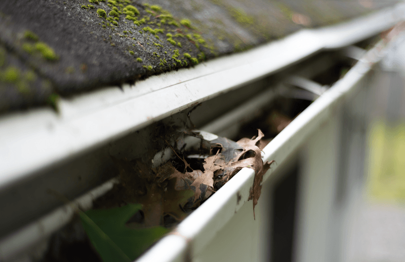 The Guttering Gutter Repairs Canberra gutter cleaning work in Deakin