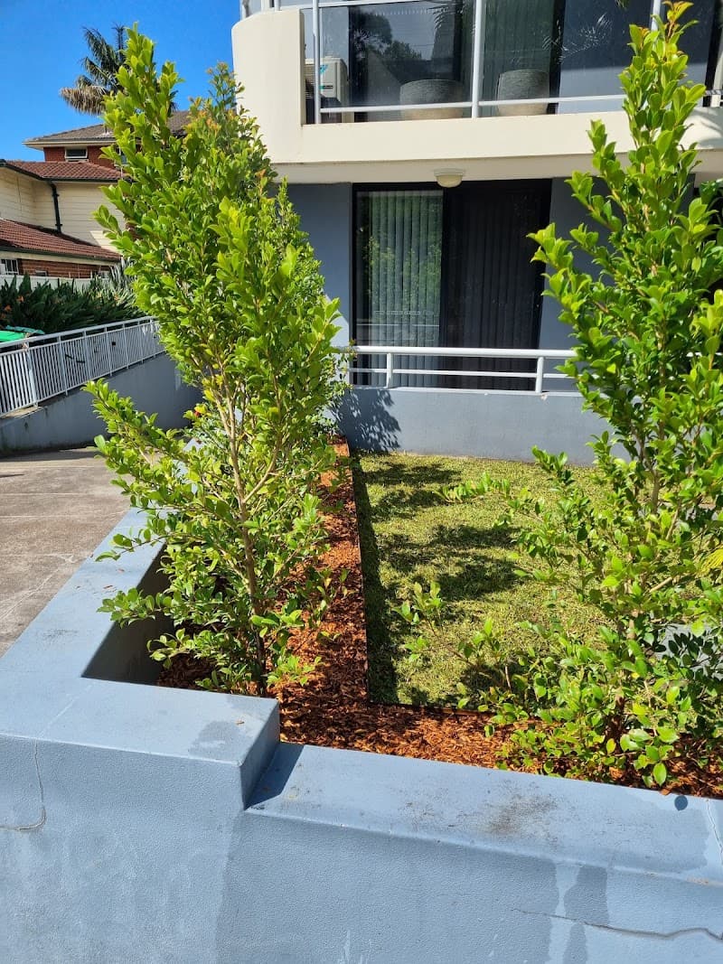 The Hedge Fund Garden Maintenance gardening work in Dee Why