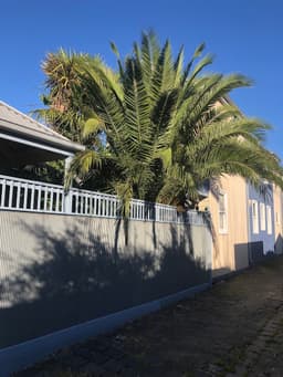The Higher Climber Tree Services