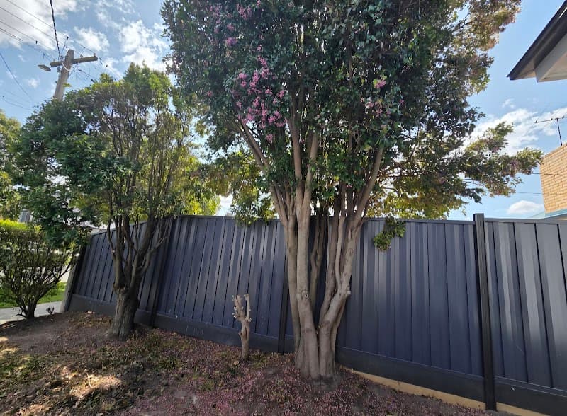 The Higher Climber Tree Services tree services work in Thornbury