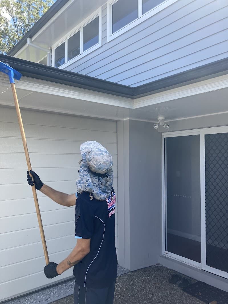 The House Washer cleaning work in Spring Hill