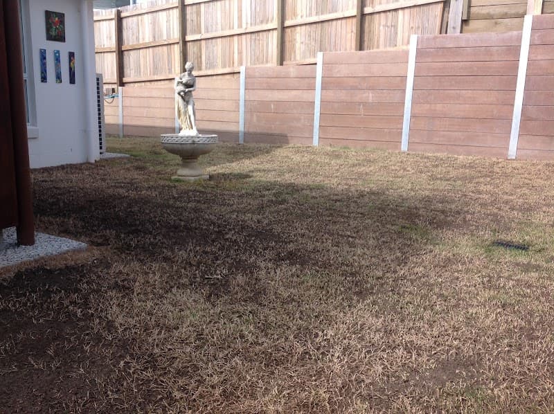 The Lawnfeed Company lawn care work in Buderim
