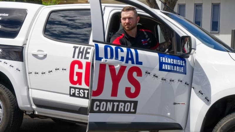 The Local Guys - Pest Control pest control work in Adelaide