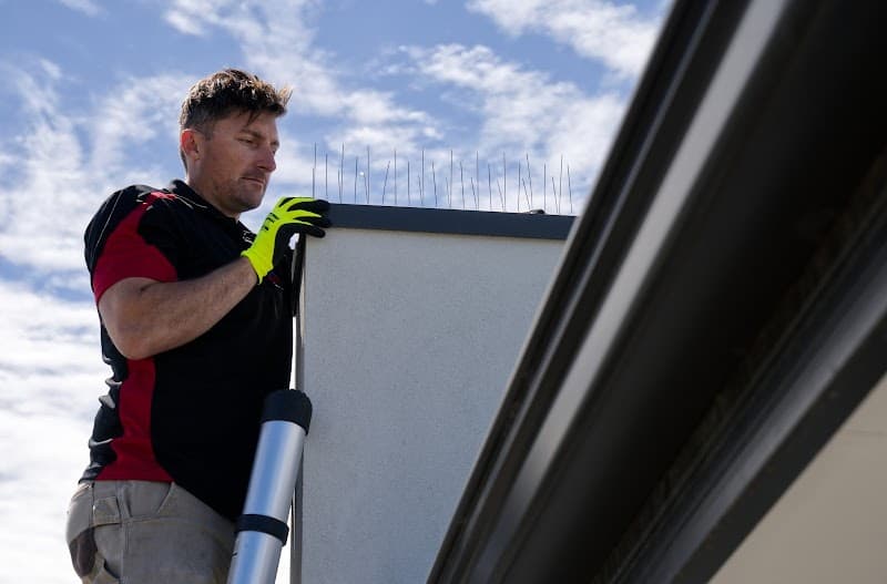 The Local Guys - Pest Control pest control work in Adelaide