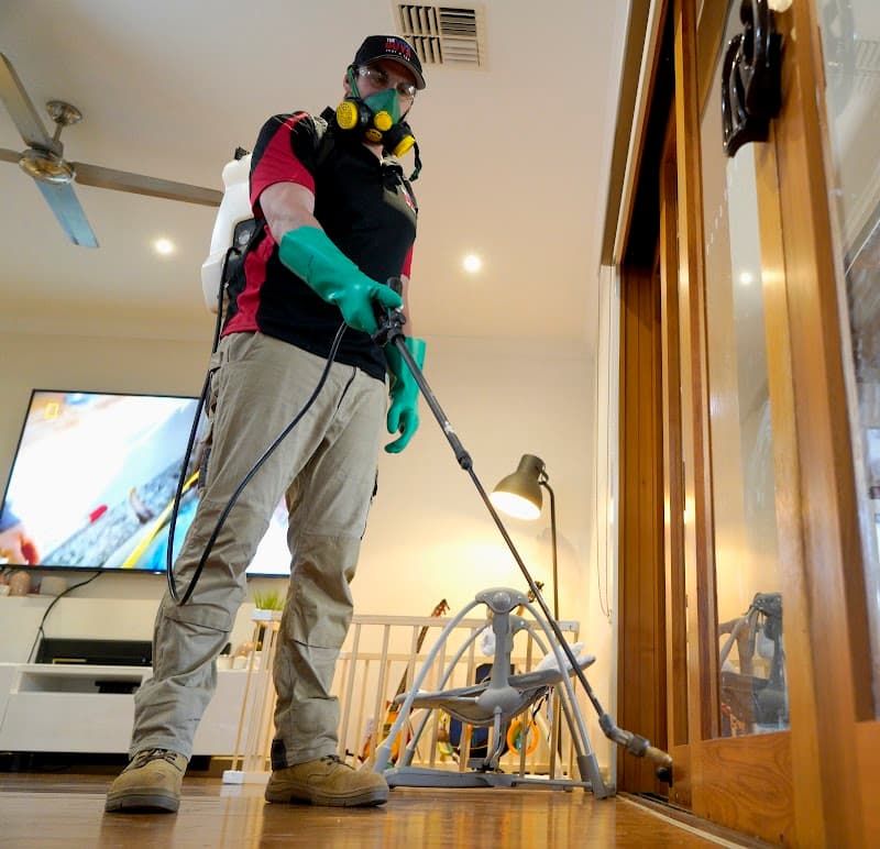 The Local Guys - Pest Control pest control work in Adelaide