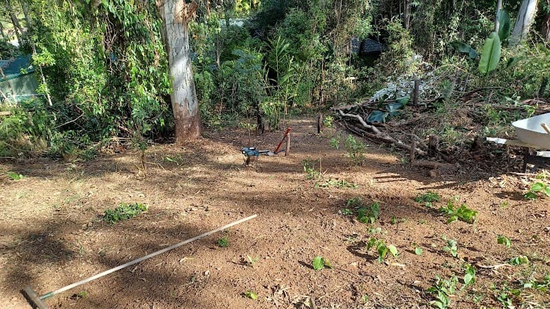 The mower goat gardening work in Mermaid Waters