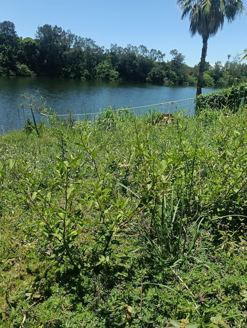 The mower goat gardening work in Mermaid Waters