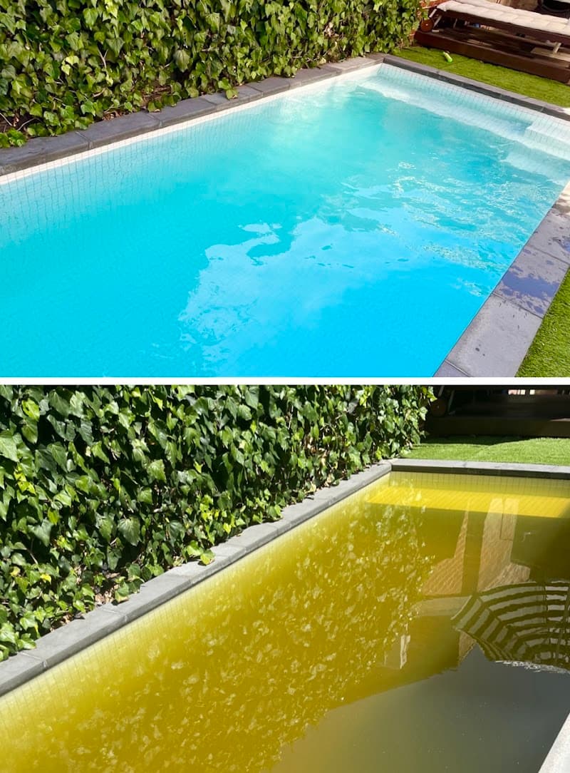 The One Pool Care Elsternwick pool maintenance work in Elsternwick