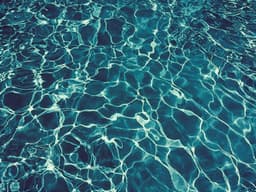 The One Pool Care Prahran