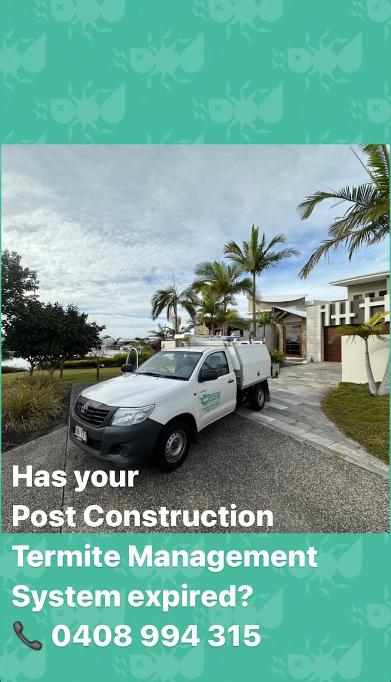 The Pest Project pest control work in Woolloongabba