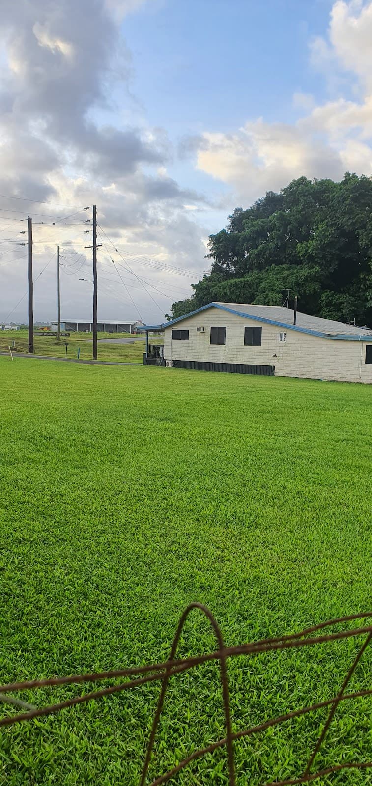 The Real Deal Mowing Services lawn care work in Kirwan