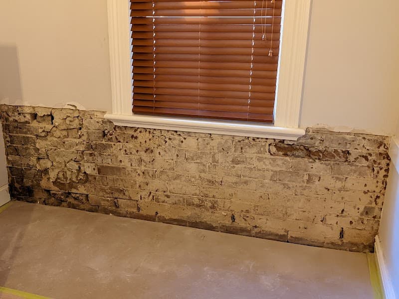 The Rising Damp Specialists - Sydney waterproofing work in Paddington