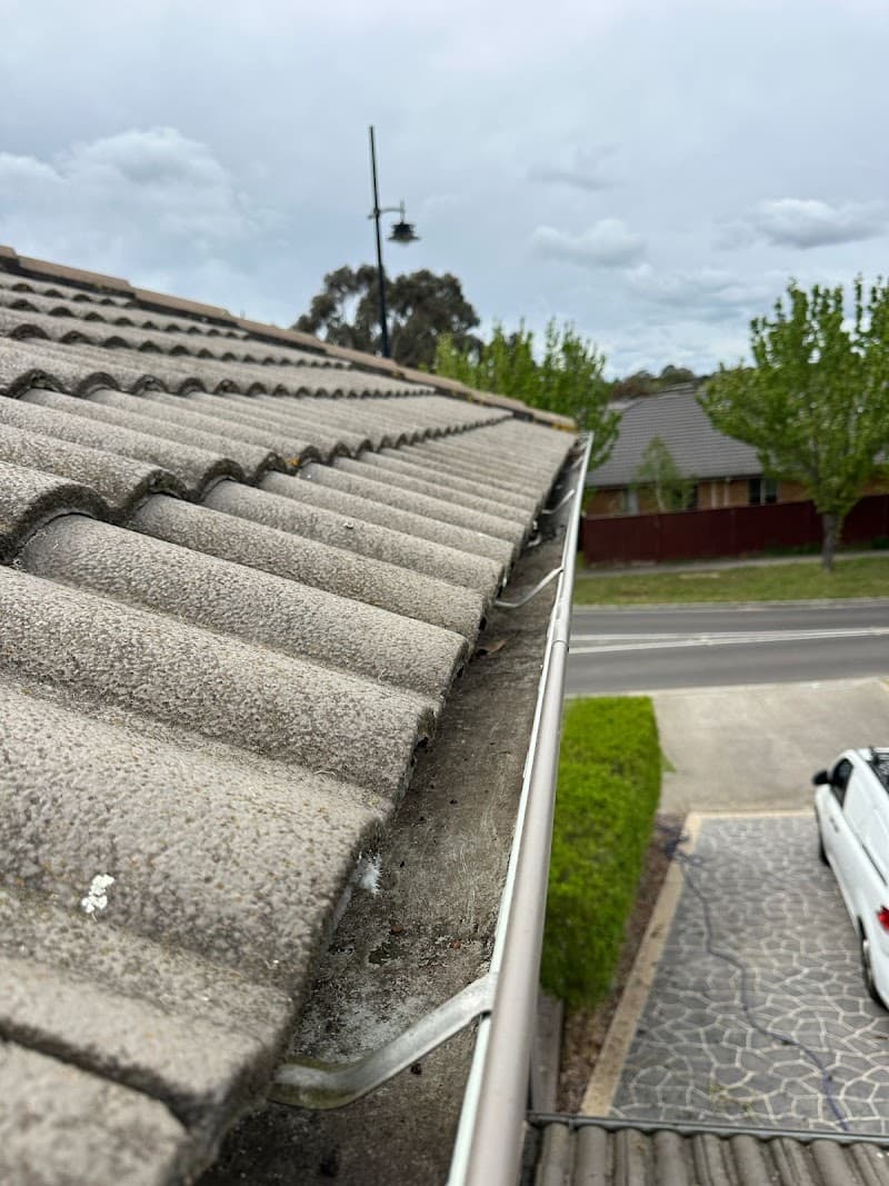 The Roof Guys Melbourne gutter cleaning work in Brunswick